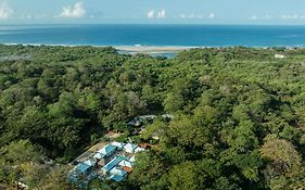 Villas Vr Beachwalk Avellanas
